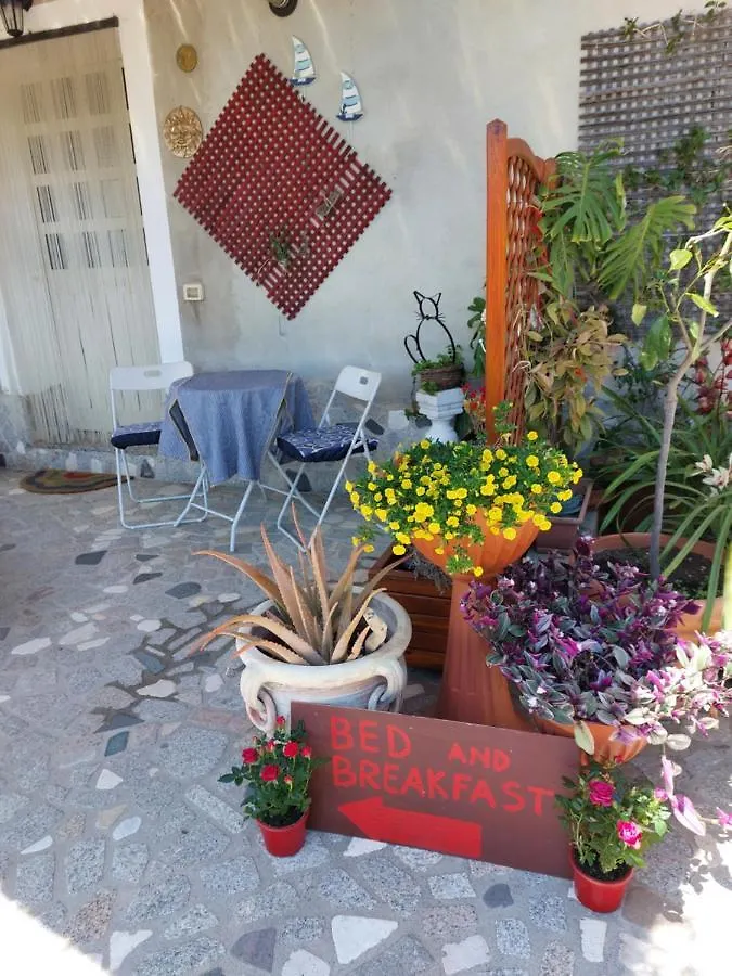 Couette-café I Girasoli Tortolì